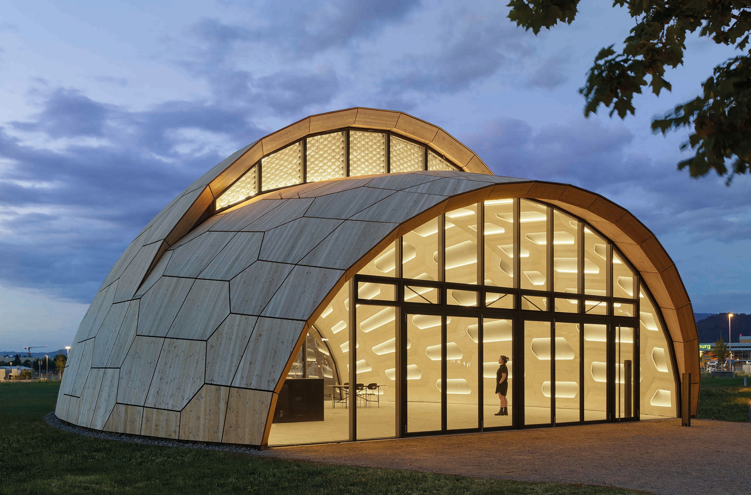 gips-schuele-stiftung-forschungspreis-2025-livMatS-Biomimetic-Shell-Freiburg-th